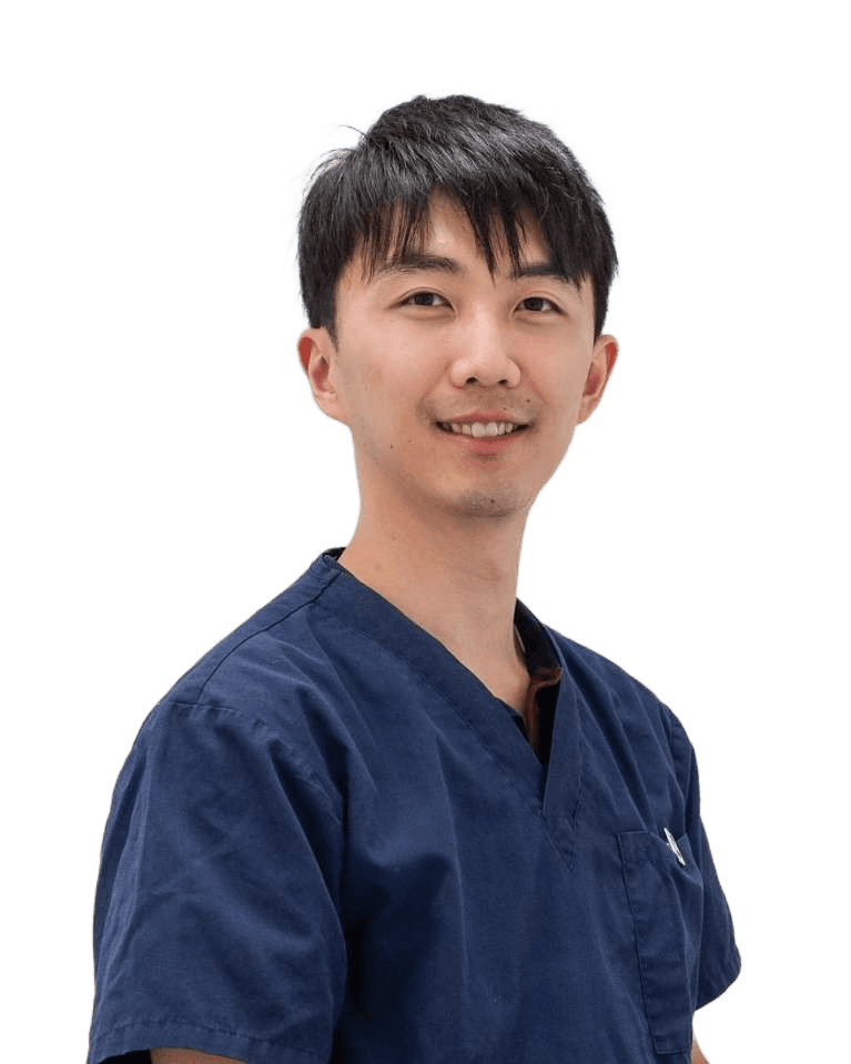 dr daniel hsu | chelsea heights dentist